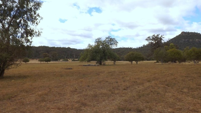 Photo - 984 Jones Reserve Road, Doyles Creek NSW 2330 - Image 25