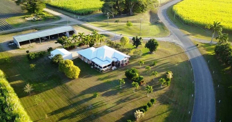 986 Halifax Road, Cordelia QLD 4850