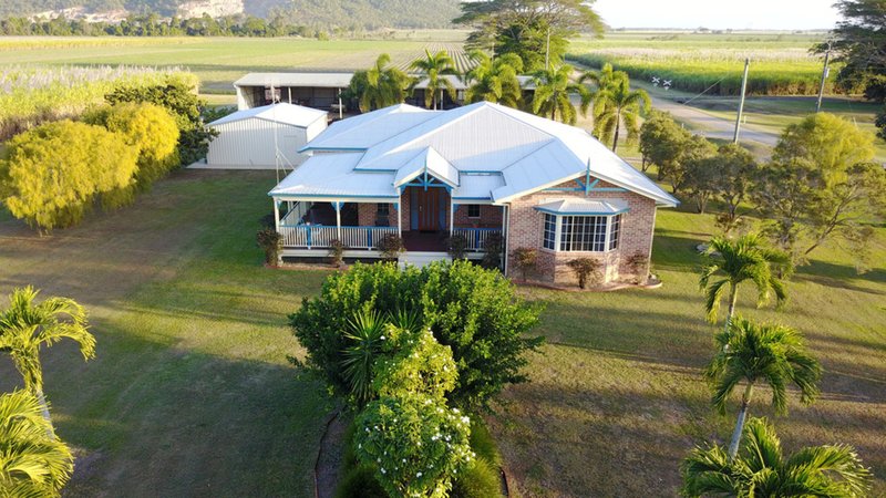 Photo - 986 Halifax Road, Cordelia QLD 4850 - Image 19