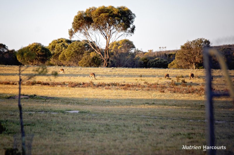 Photo - 987 Carlingup Road, Ravensthorpe WA 6346 - Image 4