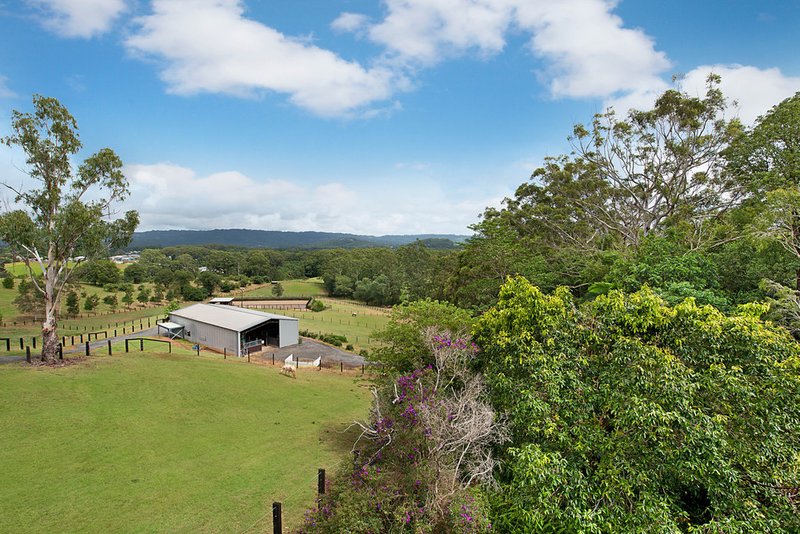 Photo - 99-105 Woombye-Palmwoods Road, Palmwoods QLD 4555 - Image 14