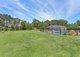 Photo - 99 Angus Drive, Failford NSW 2430 - Image 19