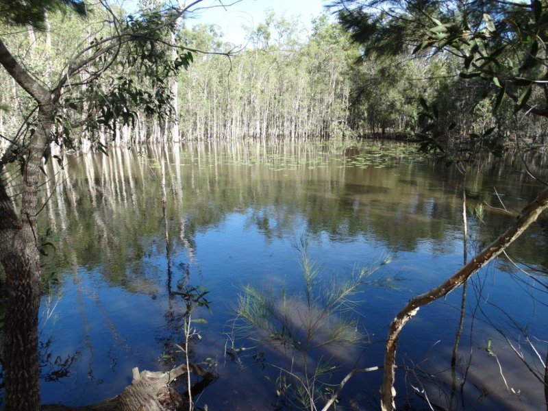 Photo - 99 Capricornia Drive, Deepwater QLD 4674 - Image 10