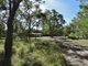 Photo - 99 Capricornia Drive, Deepwater QLD 4674 - Image 13