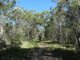 Photo - 99 Capricornia Drive, Deepwater QLD 4674 - Image 14