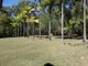 Photo - 99 Deepwater Road, Deepwater QLD 4674 - Image 17