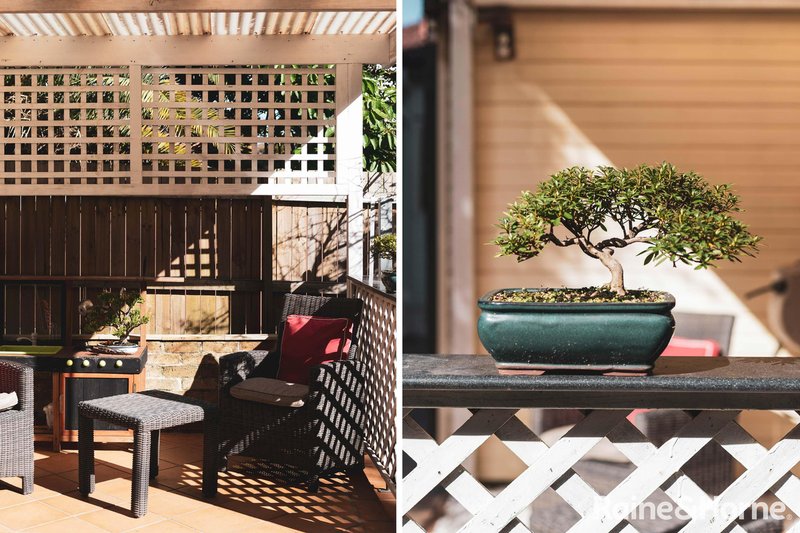 Photo - 99 Homer Street, Earlwood NSW 2206 - Image 13