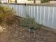 Photo - 99 (Lot 44) Cornish Terrace, Wallaroo SA 5556 - Image 11