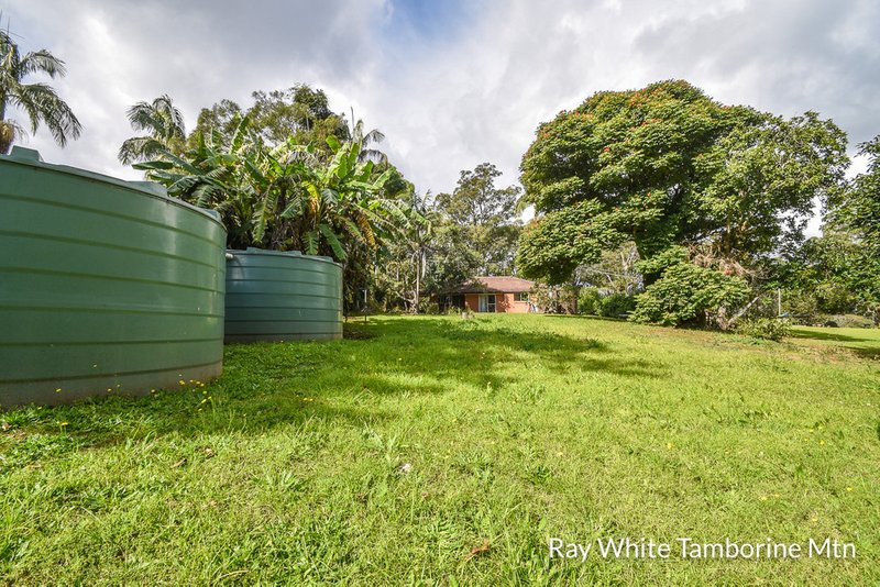 Photo - 99 Main Western Road, Tamborine Mountain QLD 4272 - Image 5