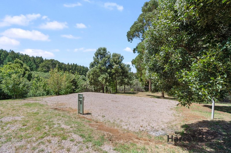 Photo - 99 Masons Road, Wilmot TAS 7310 - Image 15