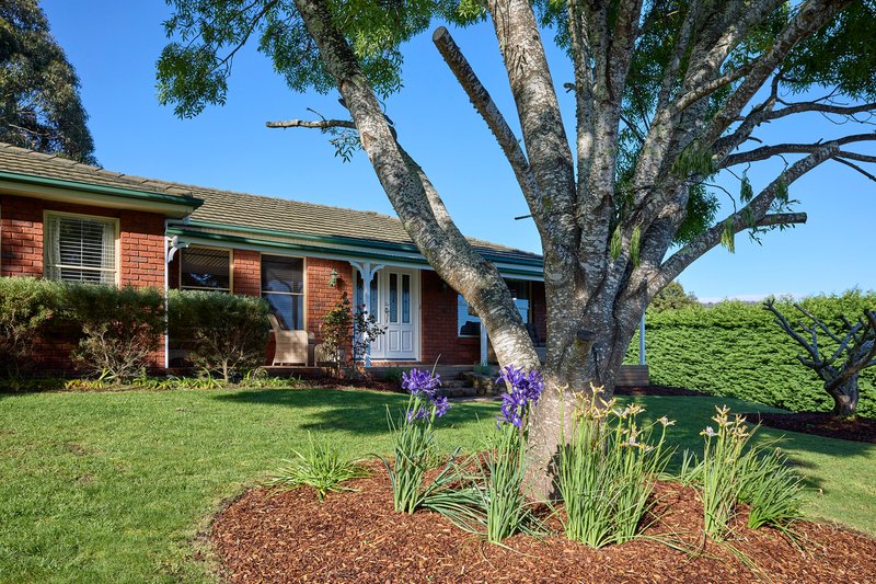 Photo - 99 Panorama Road, Blackstone Heights TAS 7250 - Image 22