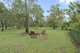 Photo - 99 Priests Road, Deception Bay QLD 4508 - Image 17