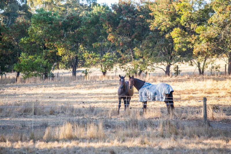 Photo - 99 Silver Lake Road, Mylor SA 5153 - Image 30