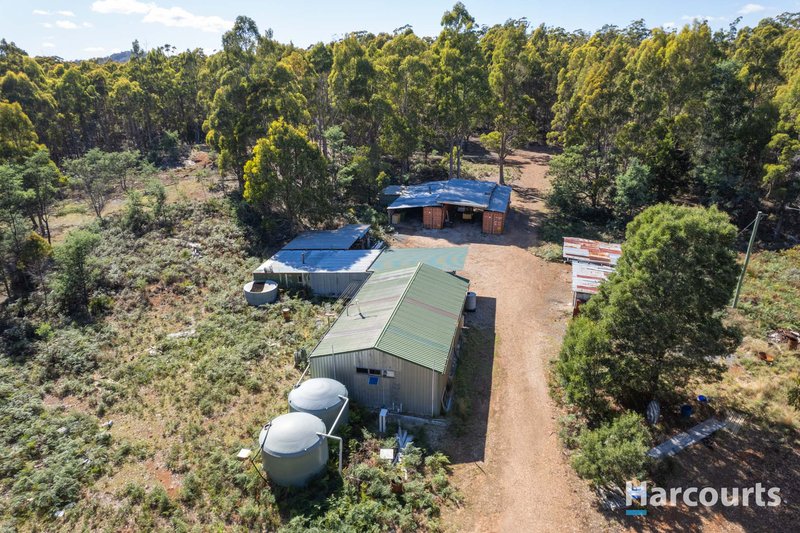 99 Silver Wattle Drive, Reedy Marsh TAS 7304