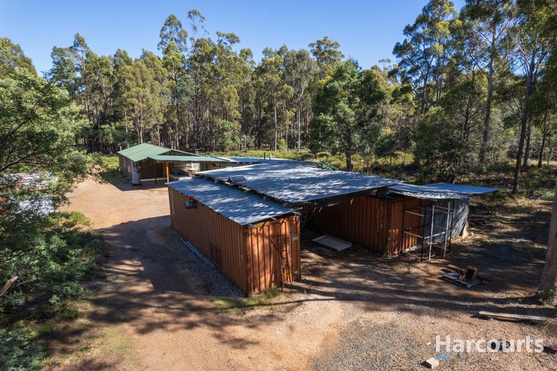 Photo - 99 Silver Wattle Drive, Reedy Marsh TAS 7304 - Image 8