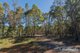 Photo - 99 Silver Wattle Drive, Reedy Marsh TAS 7304 - Image 10