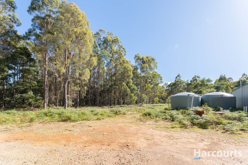 Photo - 99 Silver Wattle Drive, Reedy Marsh TAS 7304 - Image 12