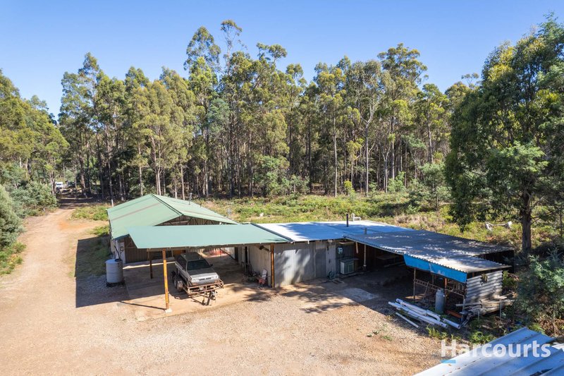 Photo - 99 Silver Wattle Drive, Reedy Marsh TAS 7304 - Image 13