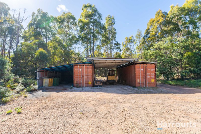 Photo - 99 Silver Wattle Drive, Reedy Marsh TAS 7304 - Image 17