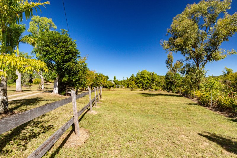 Photo - 99 Turner Road, Riordanvale QLD 4800 - Image 7