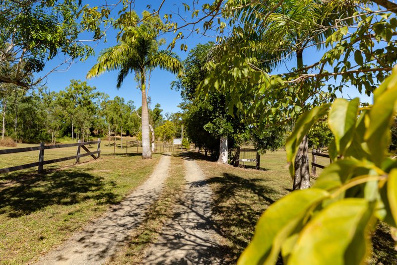 Photo - 99 Turner Road, Riordanvale QLD 4800 - Image 19