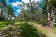 Photo - 990 Cootharaba Road, Cootharaba QLD 4565 - Image 4