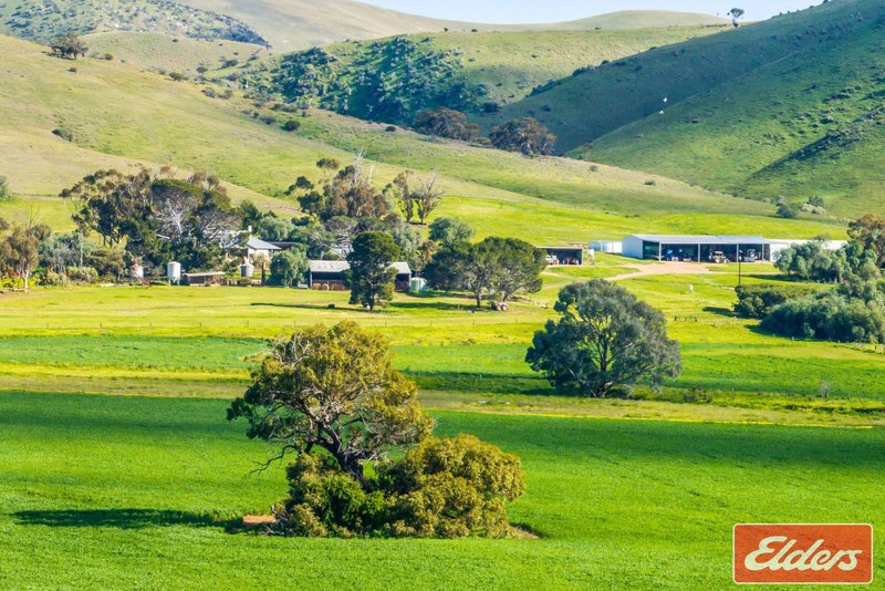 Photo - 997 Three Chain Road, Cambrai SA 5353 - Image 10