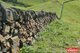 Photo - 997 Three Chain Road, Cambrai SA 5353 - Image 24