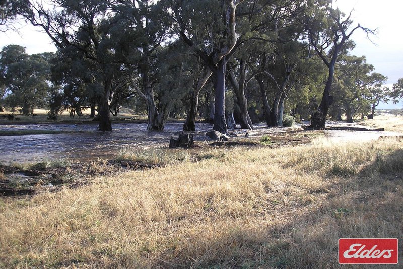Photo - 997 Three Chain Road, Cambrai SA 5353 - Image 33