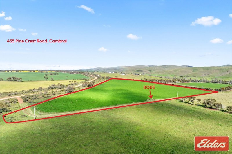 Photo - 997 Three Chain Road, Cambrai SA 5353 - Image 35