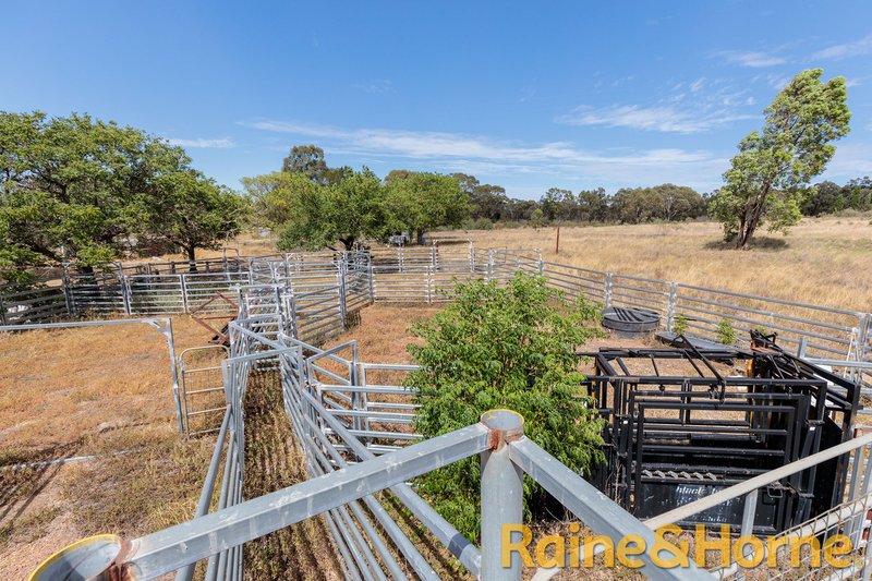 Photo - 99R Goan Creek Road, Ballimore NSW 2830 - Image 8