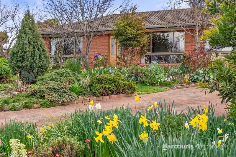 Photo - 9a Willowbend Road, Kingston TAS 7050 - Image 2