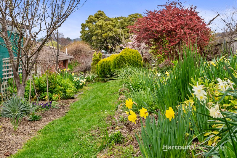 Photo - 9a Willowbend Road, Kingston TAS 7050 - Image 23