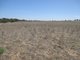 Photo - A10 Karoonda Rd , Burdett SA 5253 - Image 2