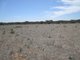 Photo - A10 Karoonda Rd , Burdett SA 5253 - Image 4