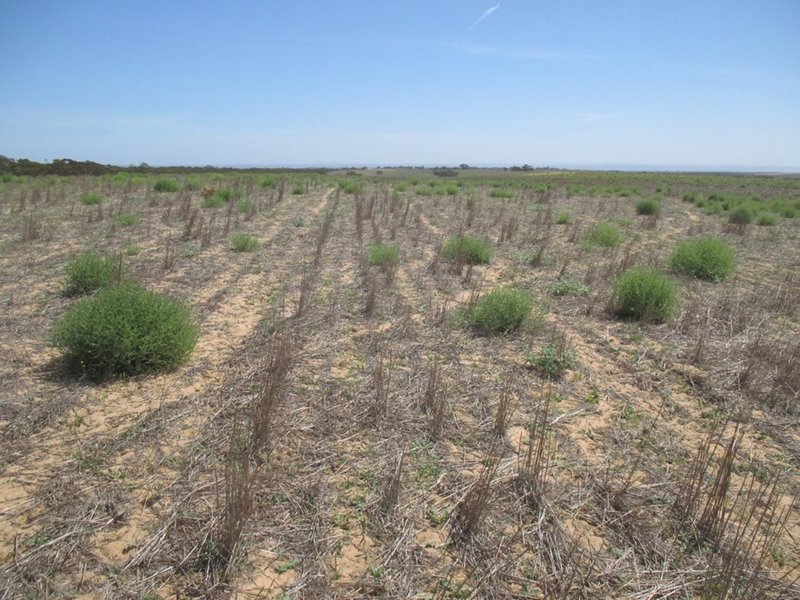 Photo - A10 Karoonda Rd , Burdett SA 5253 - Image 9