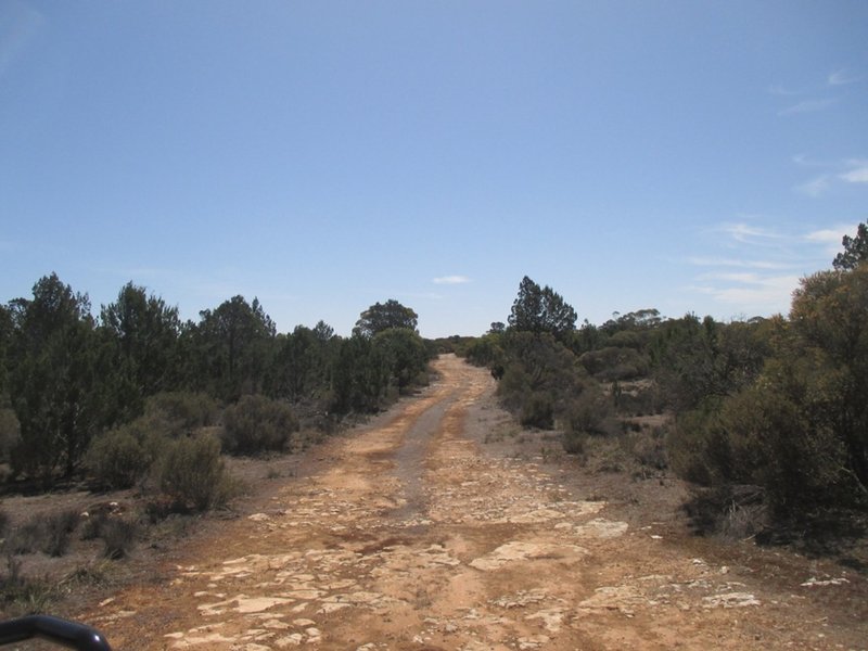 Photo - A10 Karoonda Rd , Burdett SA 5253 - Image 10