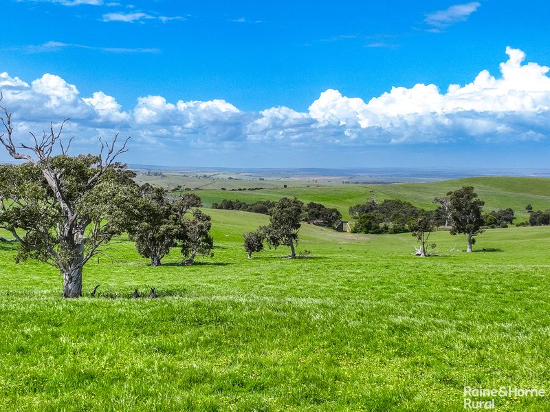 Photo - A26 Stirling Hill Road, Strathalbyn SA 5255 - Image 4