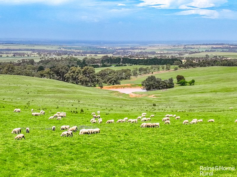 Photo - A26 Stirling Hill Road, Strathalbyn SA 5255 - Image 8