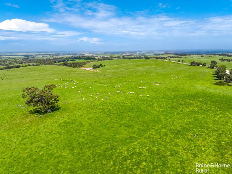 Photo - A26 Stirling Hill Road, Strathalbyn SA 5255 - Image 10