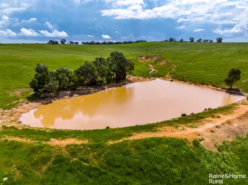 Photo - A26 Stirling Hill Road, Strathalbyn SA 5255 - Image 11