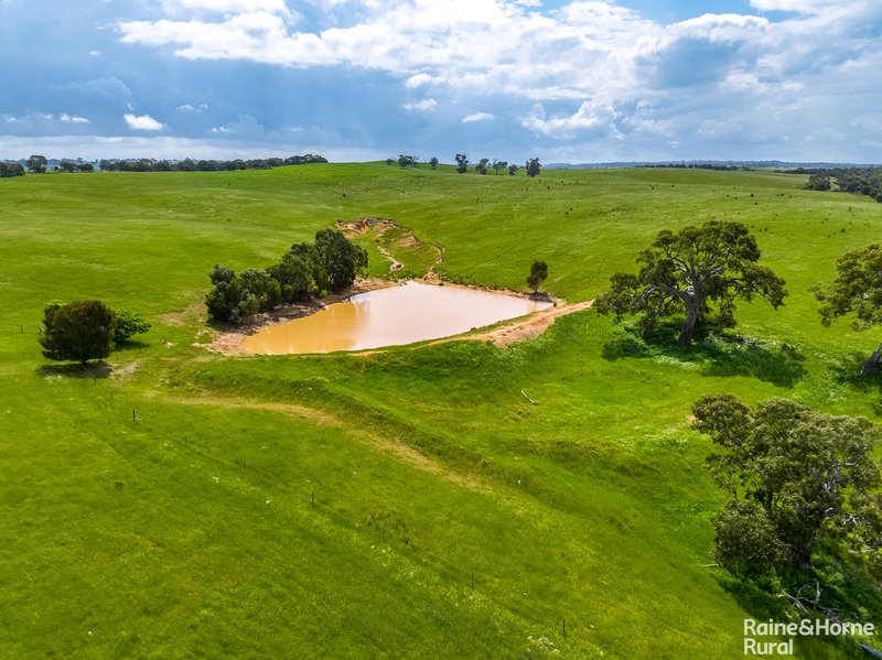 Photo - A26 Stirling Hill Road, Strathalbyn SA 5255 - Image 15