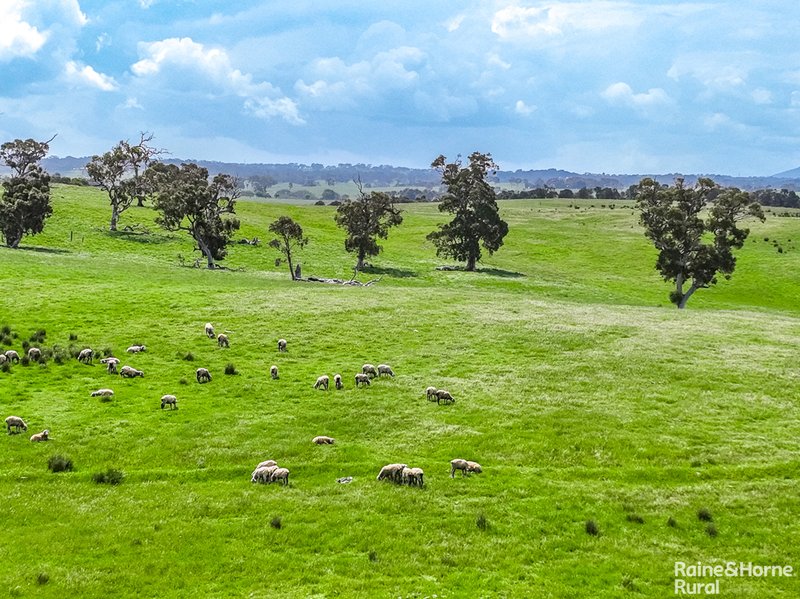 Photo - A26 Stirling Hill Road, Strathalbyn SA 5255 - Image 16