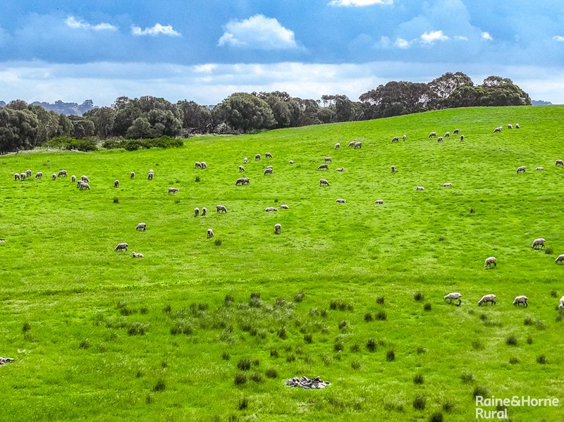 Photo - A26 Stirling Hill Road, Strathalbyn SA 5255 - Image 22