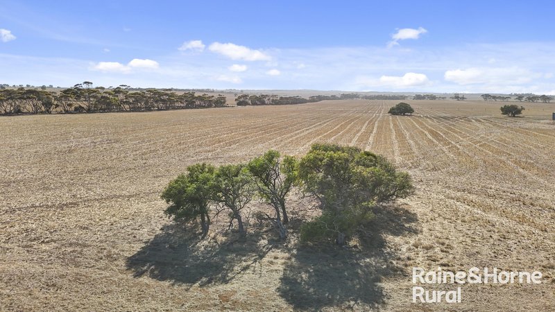 Photo - A50 Harvey Road, Woodchester SA 5255 - Image 21
