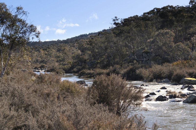 Photo - Adaminaby NSW 2629 - Image 9