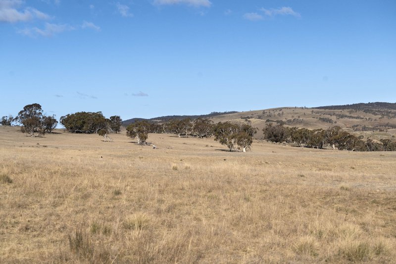 Photo - Adaminaby NSW 2629 - Image 14