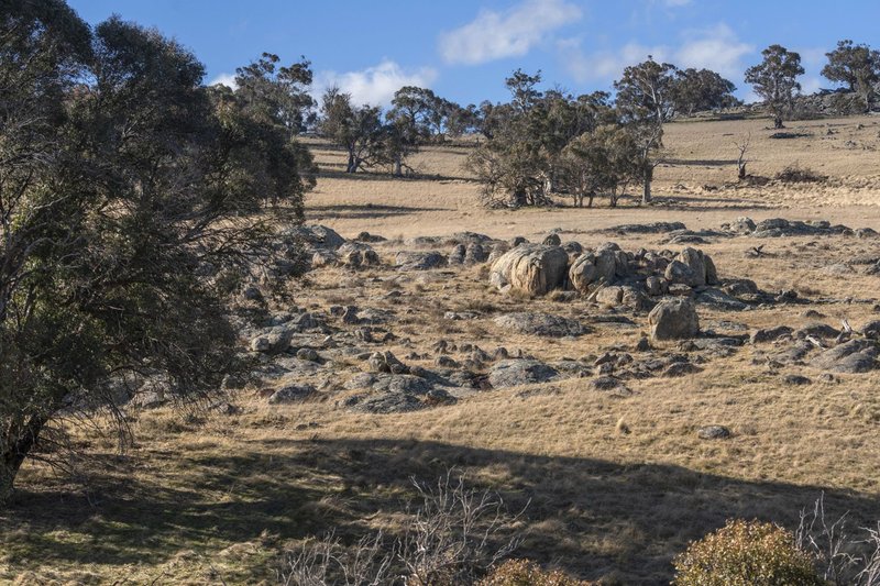 Photo - Adaminaby NSW 2629 - Image 20