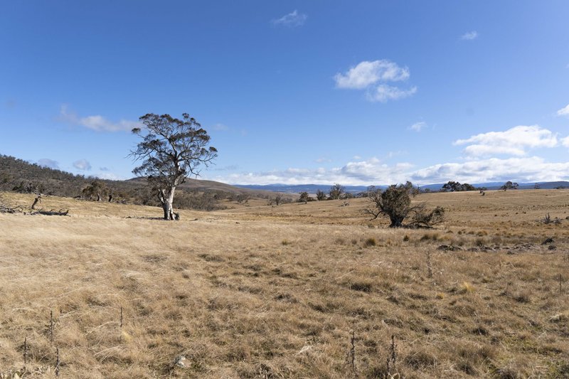 Photo - Adaminaby NSW 2629 - Image 26