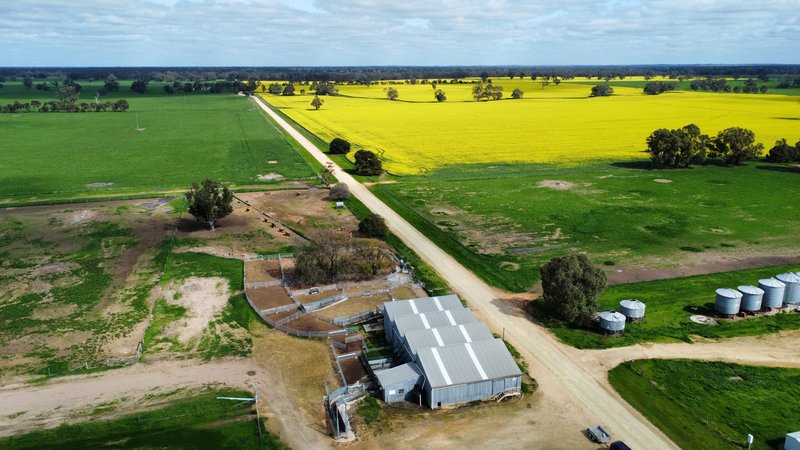 Photo - Address Available On Request , Frances SA 5262 - Image 24